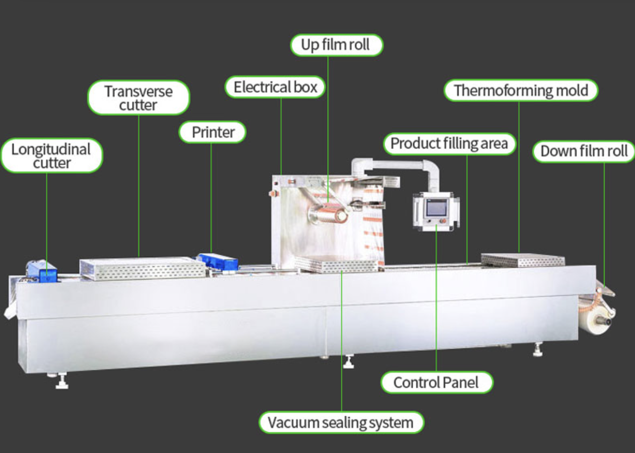 Componentes clave de una máquina termoformadora