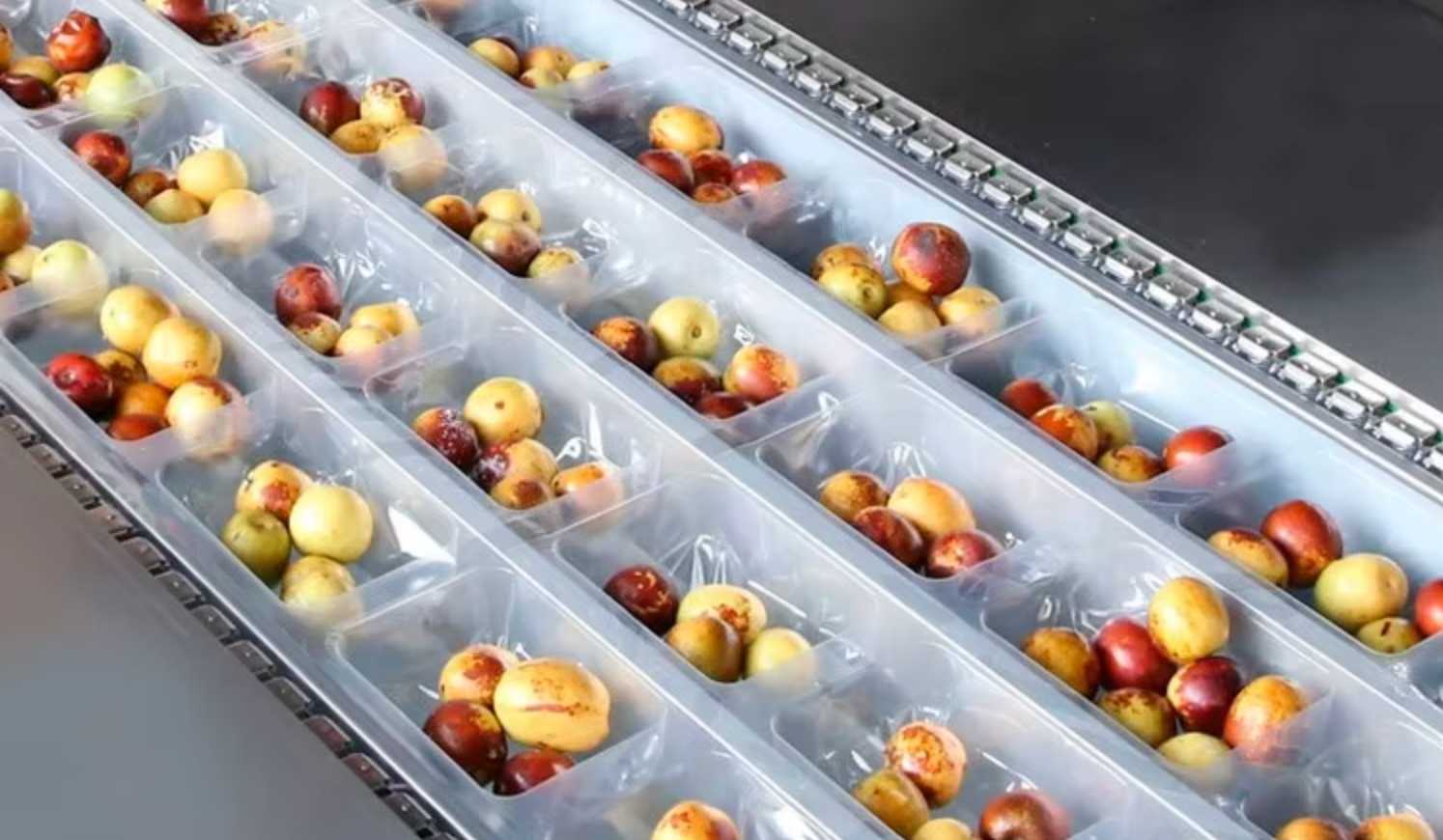 thermoforming packaging machine for fruits